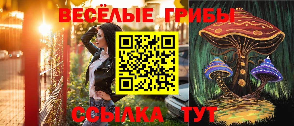 Галлюциногенные грибы MAGIC MUSHROOMS Ялуторовск